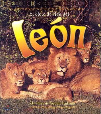 El Ciclo de Vida del Leon (the Life Cycle of a Lion)