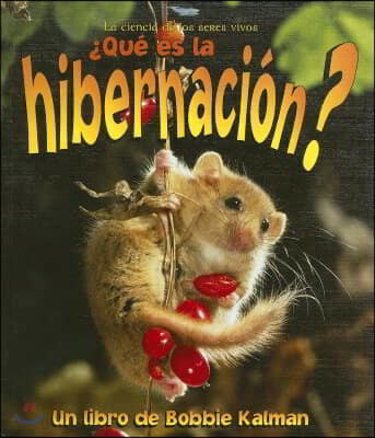 ¿Que Es La Hibernacion? (What Is Hibernation?)