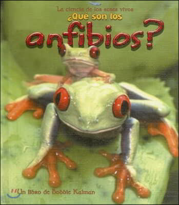 ¿Que Son Los Anfibios? (What Is an Amphibian?)