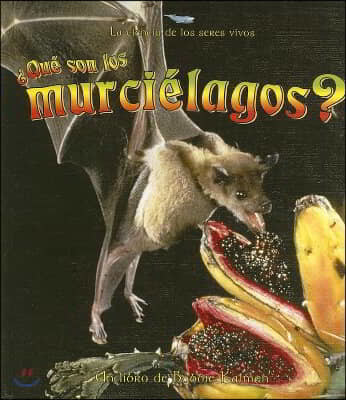 ¿Que Son Los Murcielagos? (What Is a Bat?)