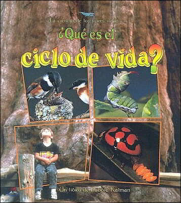 ¿Que Es El Ciclo de Vida? (What Is a Life Cycle?)