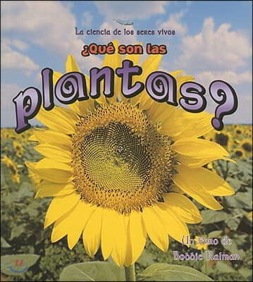 ¿Que Son Las Plantas? (What Is a Plant?)