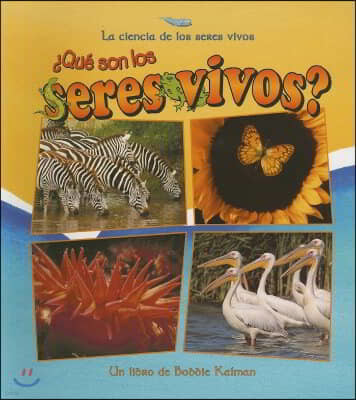 ¿Que Son Los Seres Vivos? (What Is a Living Thing?)