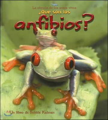 ¿Que Son Los Anfibios? (What Is an Amphibian?)