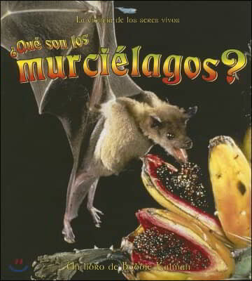 ¿Que Son Los Murcielagos? (What Is a Bat?)