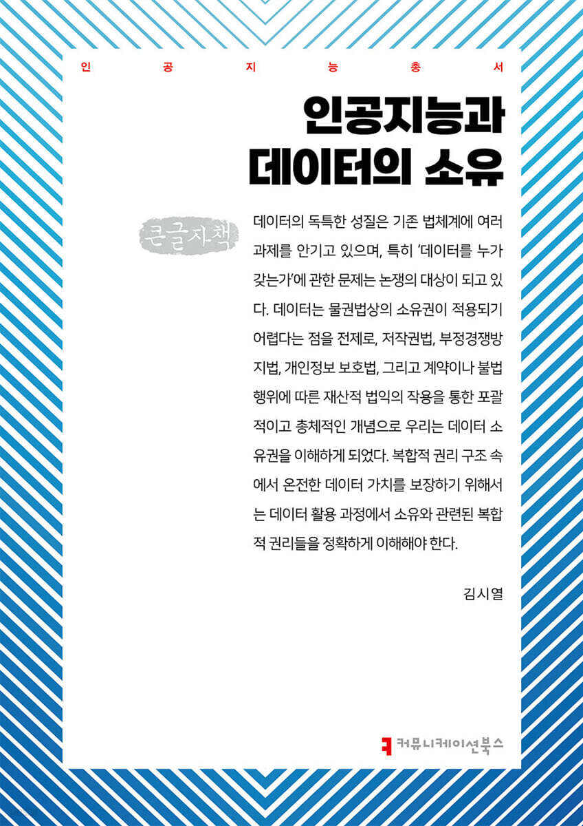 인공지능과 데이터의 소유 (큰글자책)