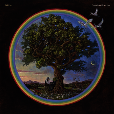 Bill Fay — Countless Branches (Deluxe Edition) 앨범 커버
