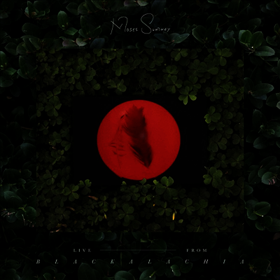 Moses Sumney — Live From Blackalachia 앨범 커버