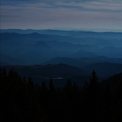 Maybeshewill - No Feeling Is Final (Gatefold)(Blue Vinyl)(2LP)