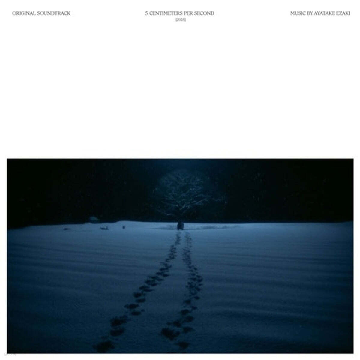 초속 5센티미터 실사판 영화음악 (5 Centimeters per Second Live-Action Original Soundtrack) [LP]