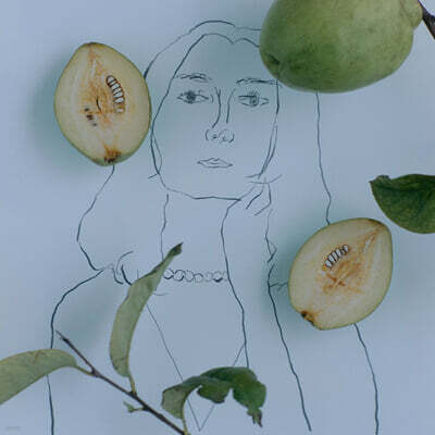 Harada Tomoyo (하라다 토모요)- Karin [LP]