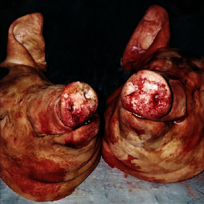Armand Hammer & Alchemist — Haram 앨범 커버