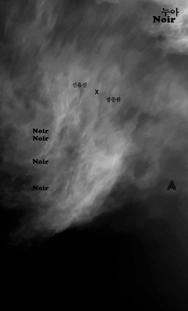 누아 (타입 에디션)