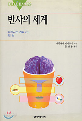 반사의 세계