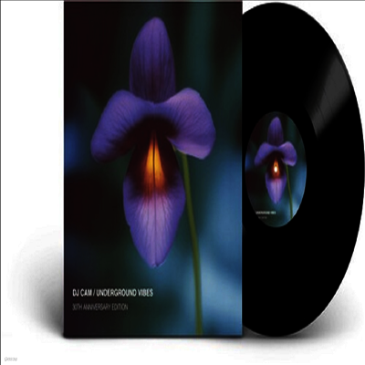 DJ Cam — Underground Vibes (30th Anniversary Edition) 앨범 커버