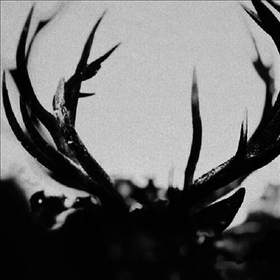 Ihsahn — Ihsahn 앨범 커버