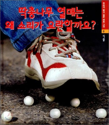 딱총나무 열매는 왜 소리가 요란할까요?