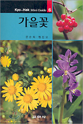 가을꽃