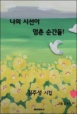 나의 시선이 멈춘 순간들!