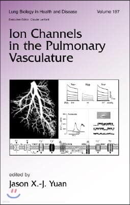 Ion Channels in the Pulmonary Vasculature