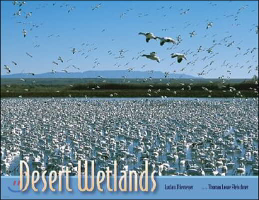 Desert Wetlands