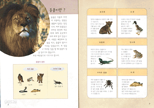 동물 사진화보 숙제 도우미