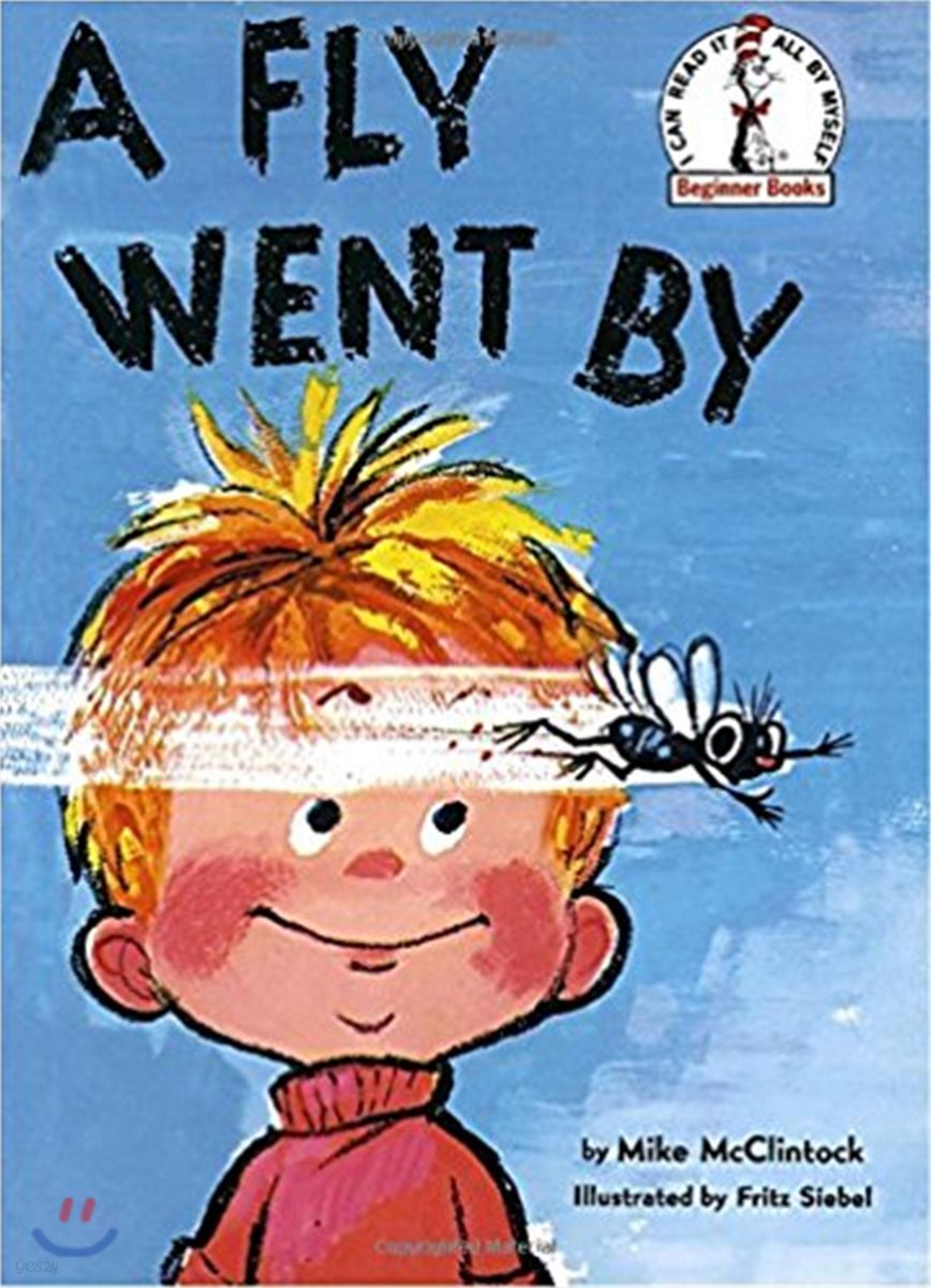 A Fly Went by