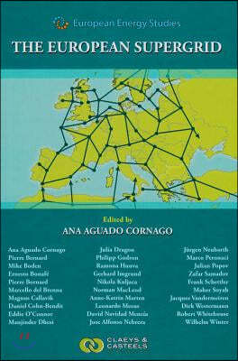 European Energy Studies Volume VII: The European Supergrid
