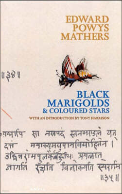 Black Marigolds and Coloured Stars