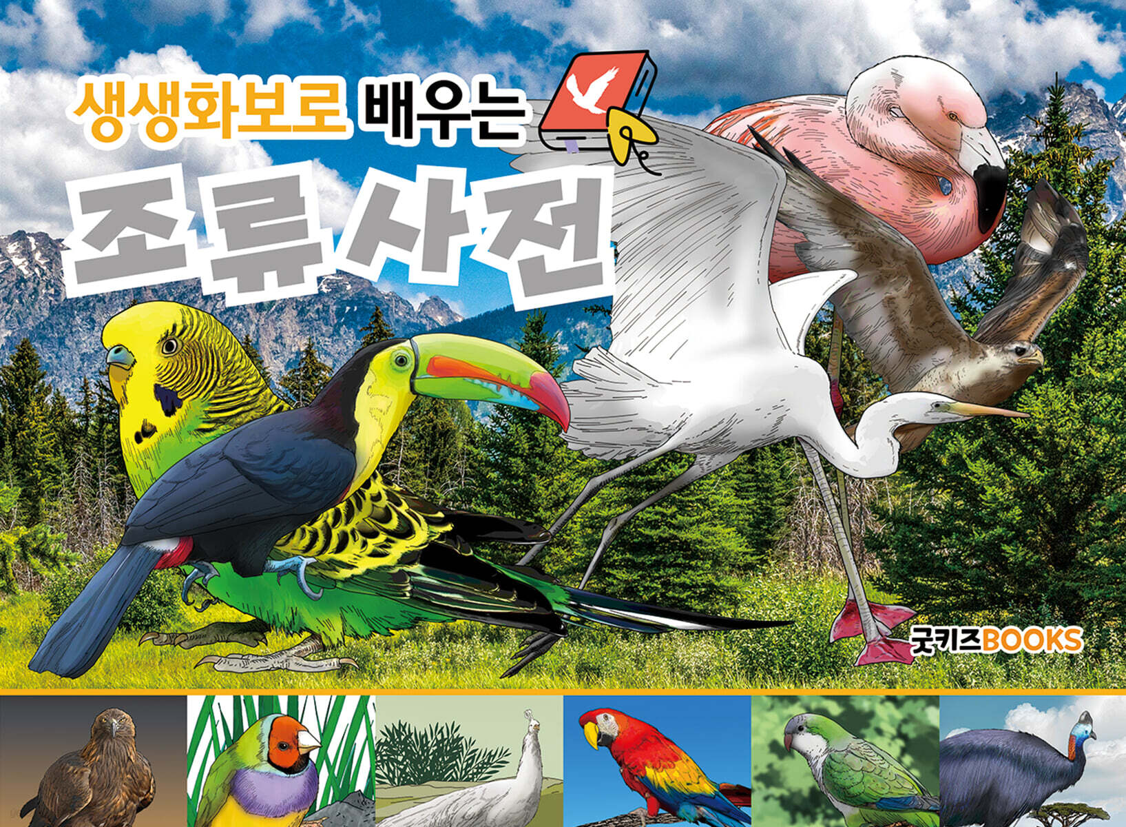 생생화보로 배우는 조류사전