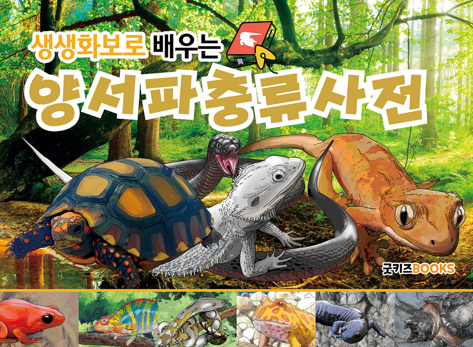 생생화보로 배우는 양서·파충류사전
