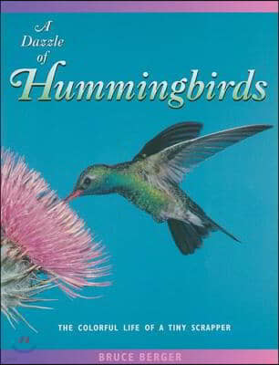 A Dazzle of Hummingbirds: The Colorful Life of a Tiny Scrapper