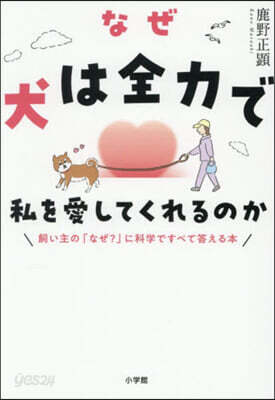 なぜ犬は全力で私を愛してくれるのか