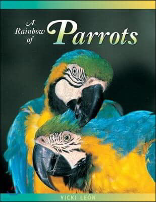 A Rainbow of Parrots