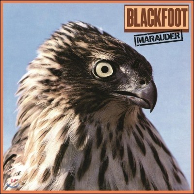 Blackfoot — Marauder 앨범 커버