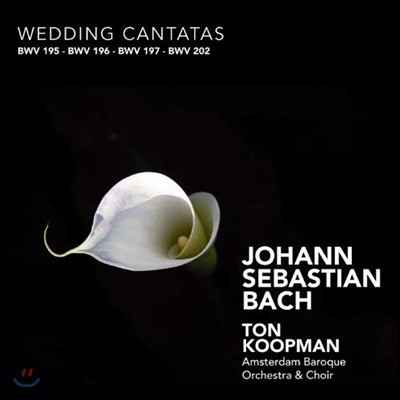 Ton Koopman : ȥ ĭŸŸ (Bach: Wedding Cantatas BWV195, 196, 197, 202)