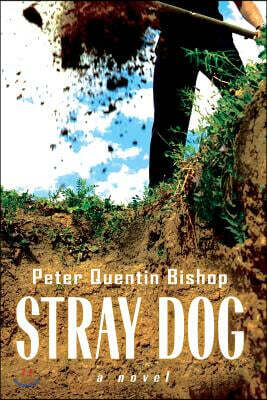 Stray Dog