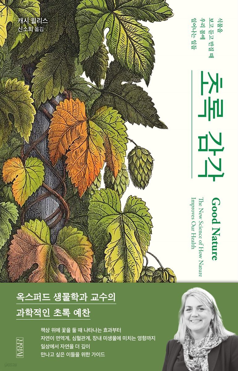 초록 감각