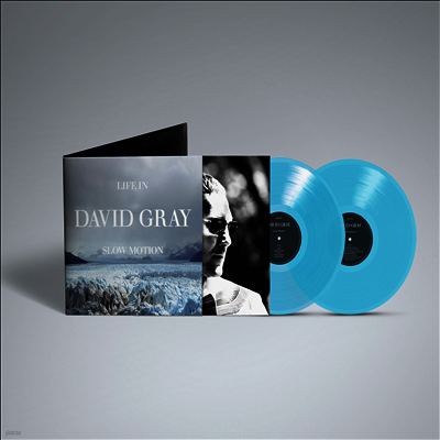 David Gray — Life In Slow Motion (20th Anniversary Edition)(Limited Deluxe Edition) 앨범 커버
