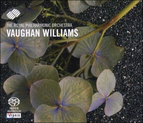 Royal Philharmonic Orchestra  : The Wasps (Vaughan Willams: The Wasps)