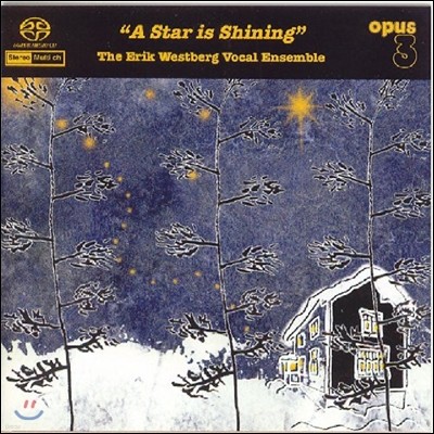 Erik Westberg Vocal Ensemble 'A Star is Shining' 