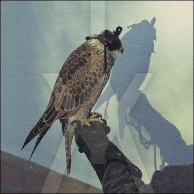 Iceage — You're Nothing (Deluxe Edition) 앨범 커버