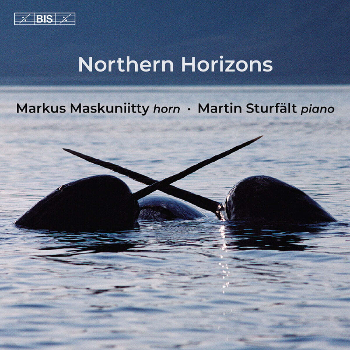 Markus Maskuniitty / Martin Sturfalt (마르쿠스 마스쿠니티 / 마르틴 스투르펠트) - 북부의 수평선 (Northern Horizons) [SACD Hybrid]