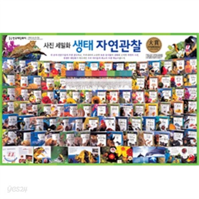 [헤밍웨이] 사진 세밀화 생태 자연관찰 (전93권)