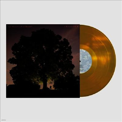 Tyler Ramsey & Carl Broemel — Celestun (US Indie Exclusive) 앨범 커버