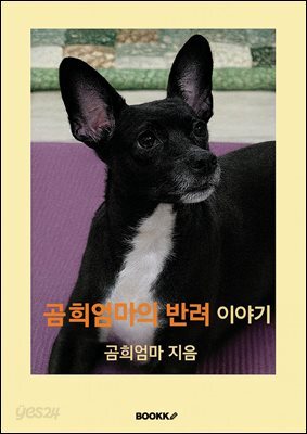 곰희엄마의 반려 이야기