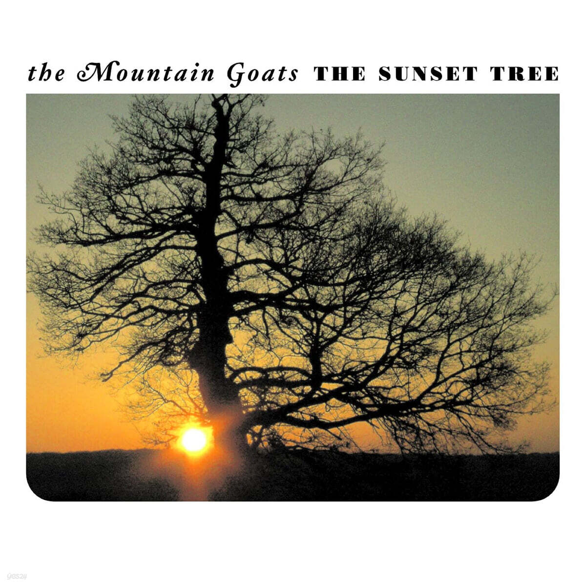 The Mountain Goats (더 마운틴 고츠) - The Sunset Tree [살구 컬러 LP]