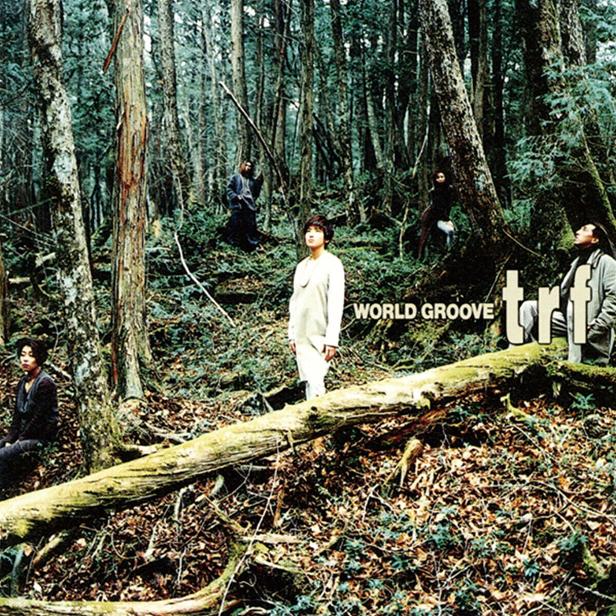 TRF (티알에프) - WORLD GROOVE [2LP]