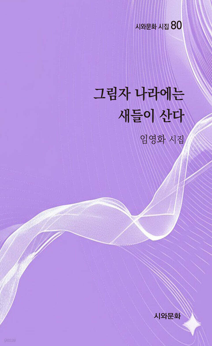 그림자 나라에는 새들이 산다
