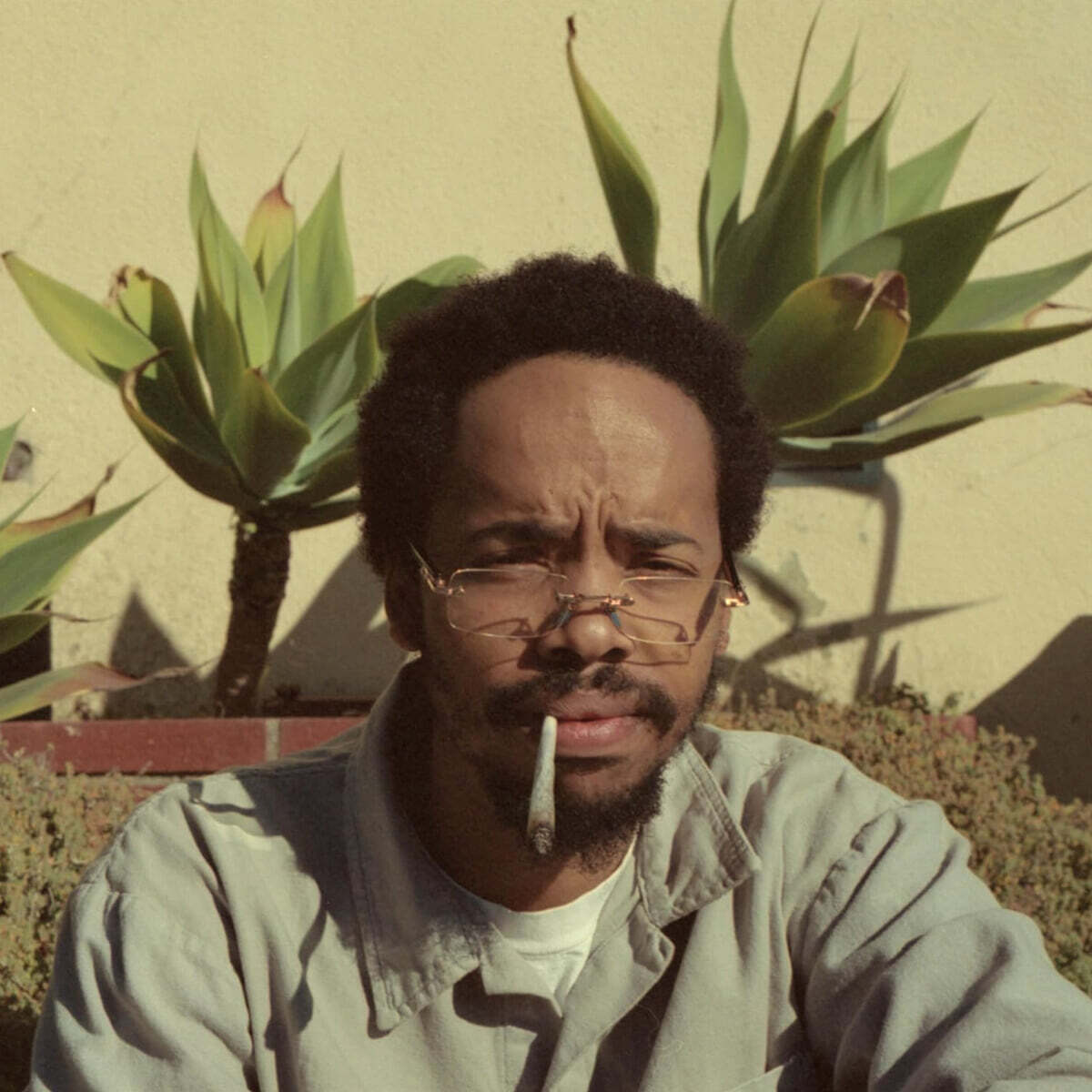 Earl Sweatshirt (얼 스웻셔츠) - 5집 Live Laugh Love